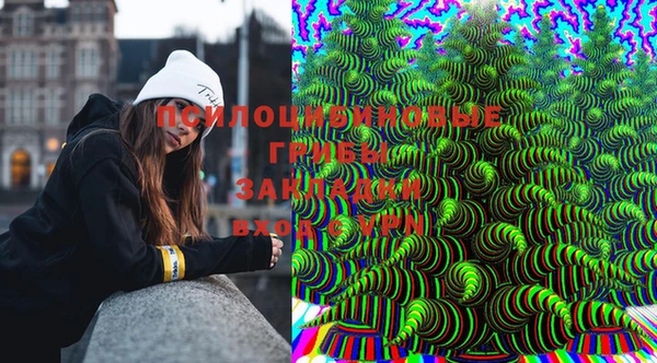 бошки Инта