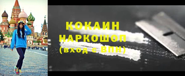 бошки Инта