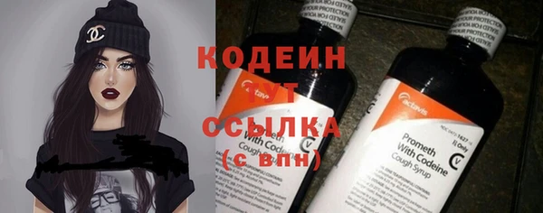 бошки Инта