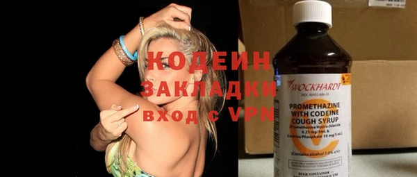 бошки Инта