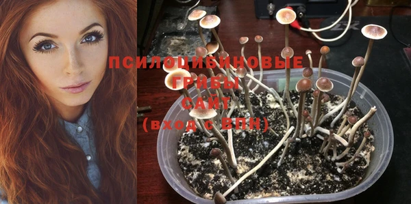 гашишное масло Иннополис