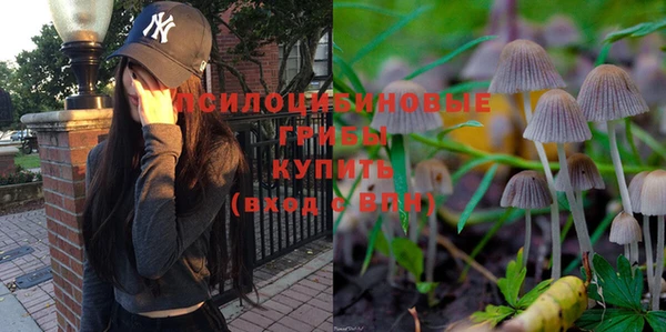трава Инсар