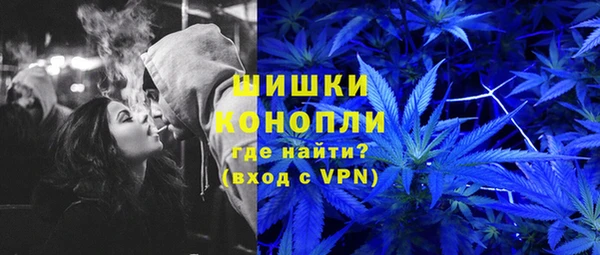 бошки Инта